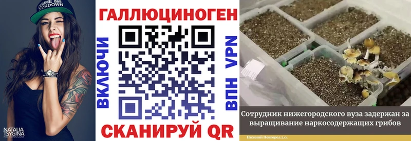 Псилоцибиновые грибы мицелий  сколько стоит  Волчанск 