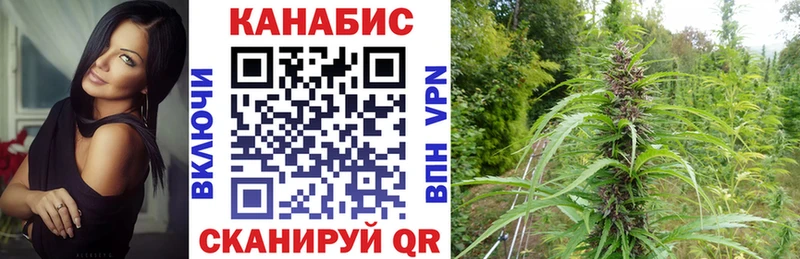 где продают наркотики Волчанск blacksprut как зайти Марихуана марихуана